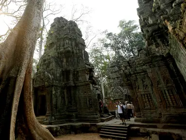 Wisatawan mengunjungi kompleks kuil Ta Prohm di provinsi Siem Reap, Kamboja. Kuil yang semakin populer semenjak digunakan untuk lokasi syuting film Tomb Raider tersebut memiliki nilai sejarah tinggi dan masih terjaga keasliannya. (REUTERS/Samrang Pring)