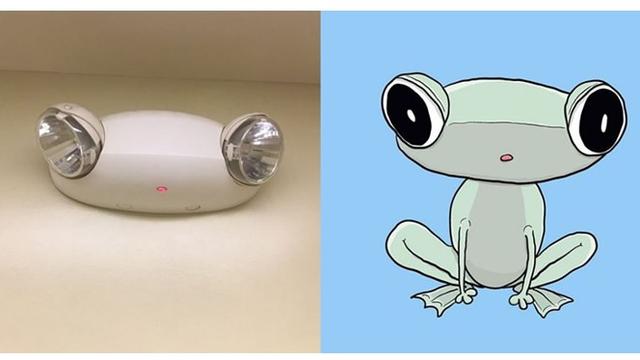 Tak terpikirkan, pria ini mengubah kamera CCTV menjadi kodok.