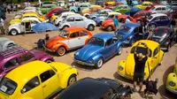 Ratusan mobil Volkswagen Beetle dipamerkan dalam ajang pertemuan tahunan "Beetle club" di Yakum, Israel tengah (21/4). Klub Beetle Israel ini didirikan pada tahun 2001 dengan anggota sekitar 500 orang. (AP Photo / Oded Balilty)