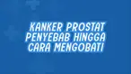 Merupakan kanker paling umum dialami pria di dunia, sekitar 1,3 juta orang.