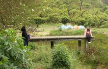 Camping di Alam Bak Serpihan Surga, Momen Libur Akhir Tahun di Ranu Regulo Lereng Gunung Semeru