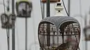 Burung dalam kandang saat mengikuti kontes burung berkicau di Provinsi Narathiwat di Thailand selatan (22/9/2019). Lebih dari 1.800 burung dari Thailand, Malaysia, dan Singapura mengambil bagian dalam kontes tahunan. (AFP Photo/Madaree Tohlala)