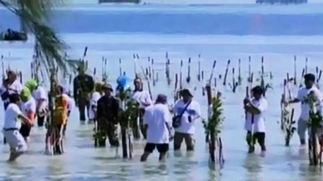 Segmen 2: Rapat Paripurna Ricuh hingga Hari Hutan Internasional