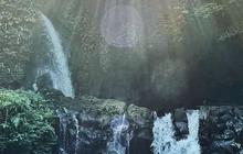 Eksotisme Air Terjun Taman Sari Gianyar, Terletak di Tepi Jalan Raya Keindahan Alamnya Pukau Turis Lokal dan Mancanegara