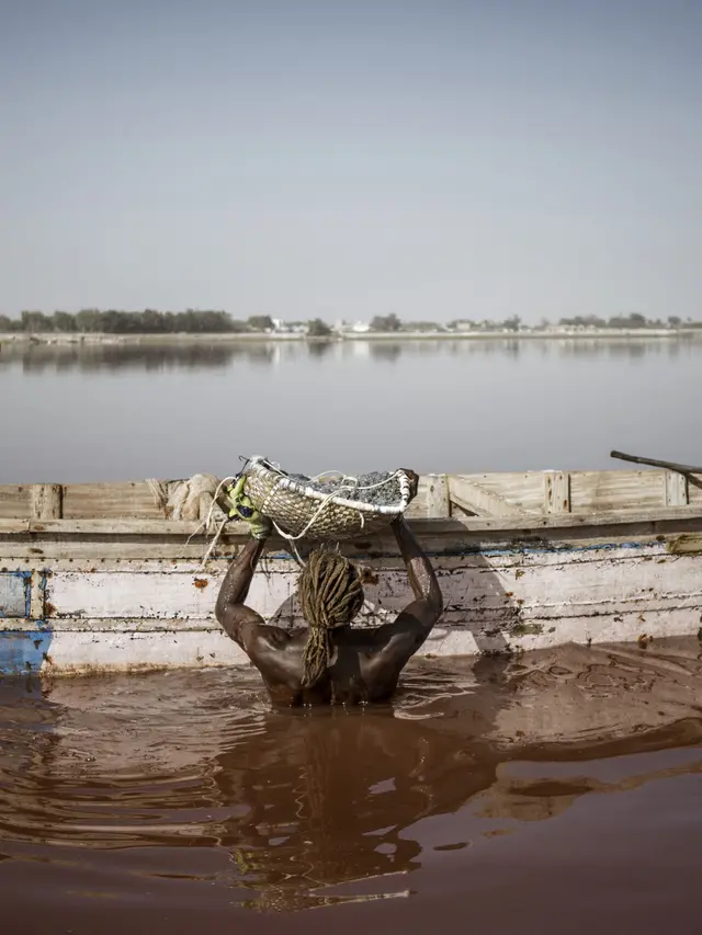 Memanen garam di Danau Retba atau danau merah muda di Senegal. (Marco Longari/AFP)
