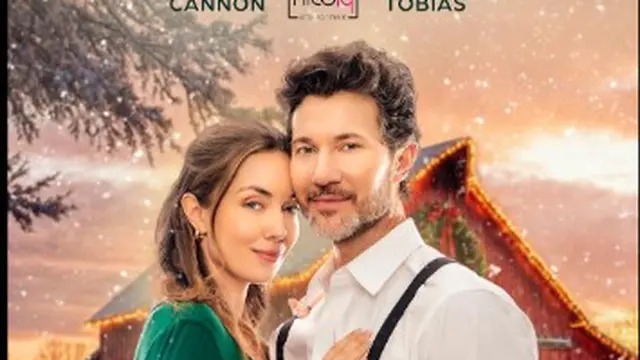 A Christmas in Amish Country (Imdb.com)