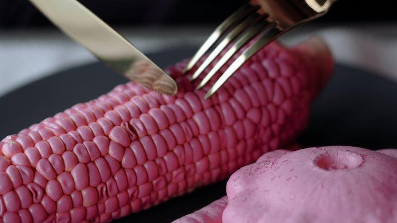 Untuk lebih memahami pewarna karmin, kita dapat melihat proses produksinya. Serangga Cochineal hidup di atas kaktus pir berduri dan makan pada kelembaban dan nutrisi tanaman. Serangga ini memiliki kesamaan dengan belalang dan darahnya tidak mengalir.