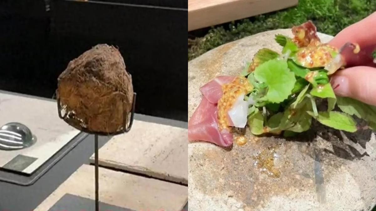Restoran Mewah Ini Sajikan Kuliner Aneh dari Kotoran Gajah, Beraroma Herbal