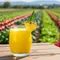 15 Jus yang Bagus untuk Diet, Rendah Kalori dan Kaya Serat