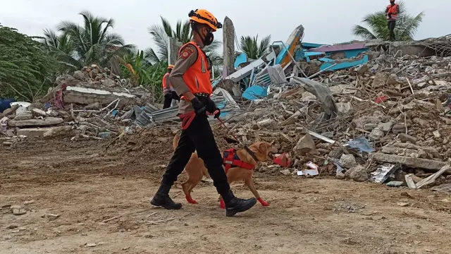 Enam ekor anjing pelacak K-9 diterjunkan untuk membantu proses evakusi korban gempa di Mamuju, Sulbar. (Foto: Liputan6.com/Abdul Rajab Umar)