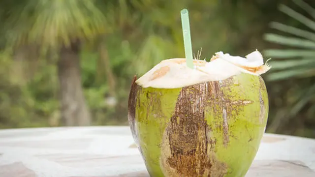 Ilustrasi air kelapa muda. ©Shutterstock.com/tiverylucky