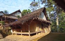 Ternyata Orang Sunda Sudah Antisipasi Megathrust Ratusan Tahun Silam, Kuncinya Rumah Pakai Bambu