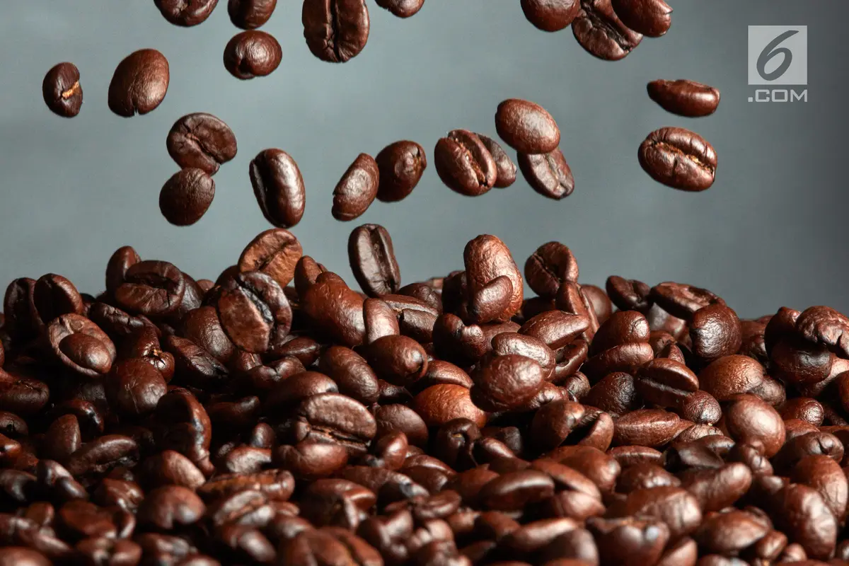Biji Kopi