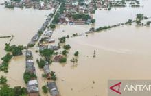 Ribuan Hektare Sawah Terendam, Dampak Parah Banjir Karawang Akibat Luapan Sungai