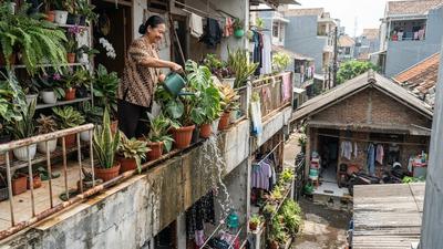 Cara Menata Pot di Balkon agar Air Siraman Tidak Menetes ke Lantai Bawah