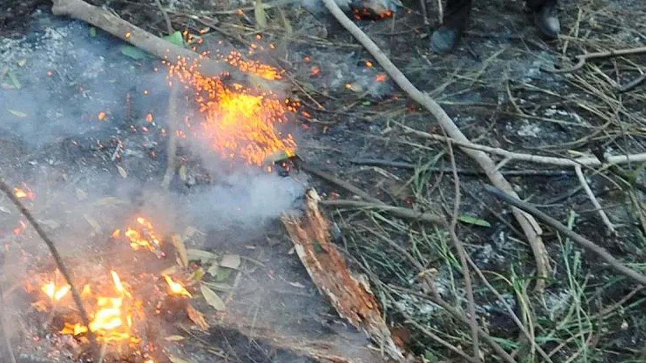Aksi petugas saat menggunakan batang pohon untuk mematikan titik api.