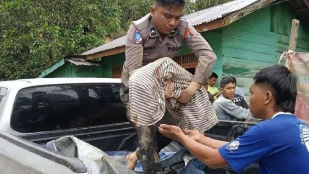 Korban Bencana Alam Sumut Meninggal Dunia Capai 374 Jiwa, Data Terbaru Pusdalops PB