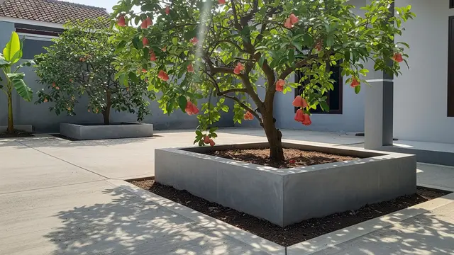 Pohon Jambu Air/Gemini AI