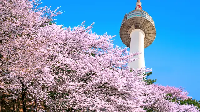 Namsan Tower