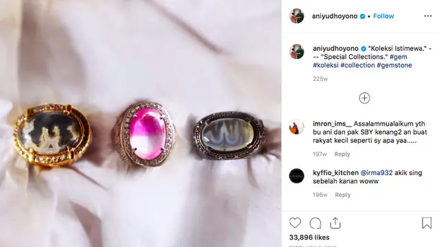 Selain Fotografi, Ani Yudhoyono Juga Hobi Lakukan Ini
