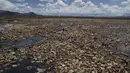 Botol plastik dan sampah lainnya mengapung di Danau Uru Uru dekat Oruro di Bolivia, Kamis (25/3/2021). Mayoritas sampah rumah tangga ini terbawa dari aliran sungai yang bermuara di danau ini. (AP Photo / Juan Karita)
