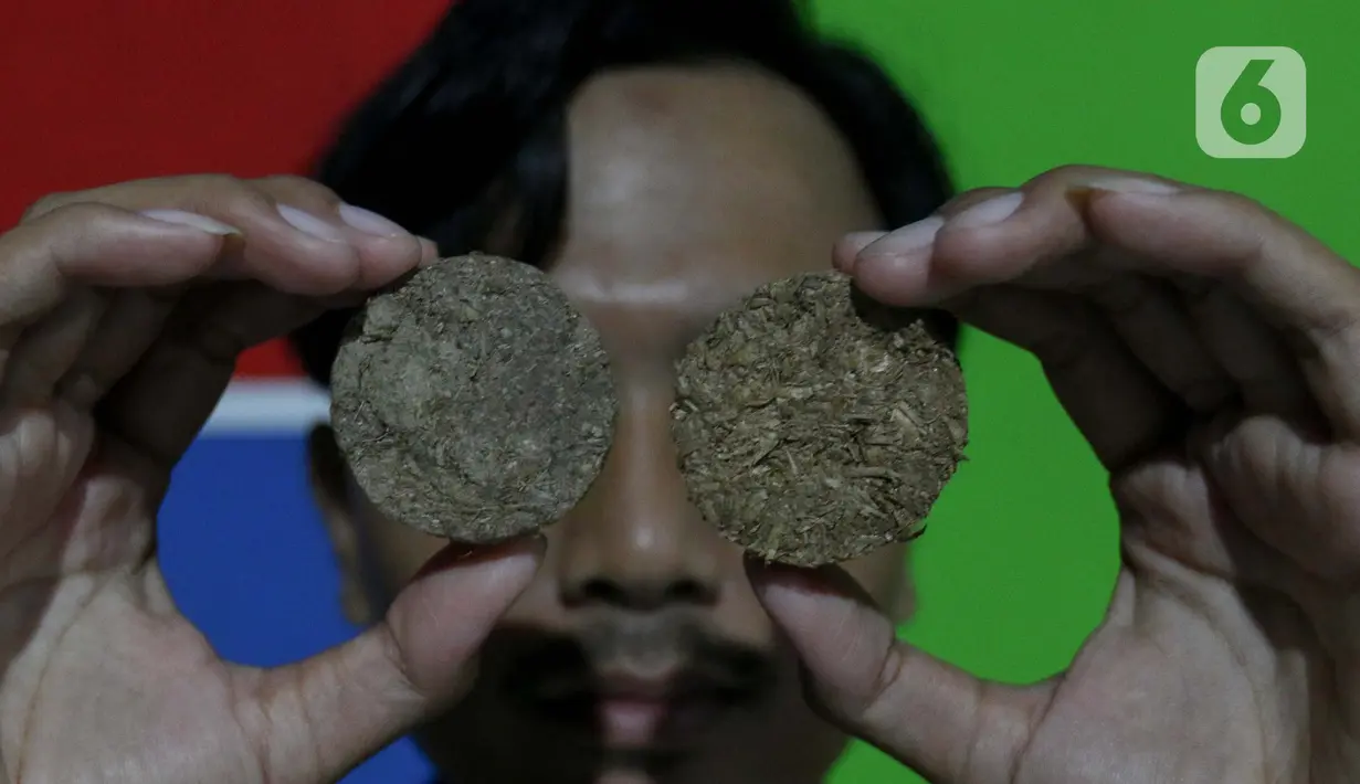 Salah satu pemuda perajin menunjukkan hasil olahan eceng gondok di kawasan Plaju, Palembang, Sumatra Selatan, Senin (26/5/2025). (Liputan6.com/Herman Zakharia)