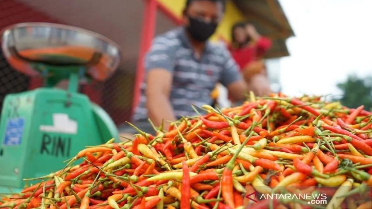 PIHPS Catat Kenaikan Harga Pangan Strategis: Cabai Rawit Tembus Rp74 Ribu/Kg
