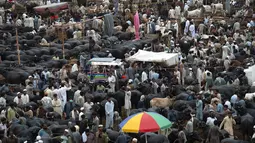 Orang-orang berkerumun di pasar ternak menjelang Hari Raya Idul Adha di Peshawar, Pakistan (13/7/2021). Jelang Idul Adha, Pasar ternak di Peshawar, Pakistan mulai sibuk menjual hewan kurban. (AFP/Abdul Majeed)