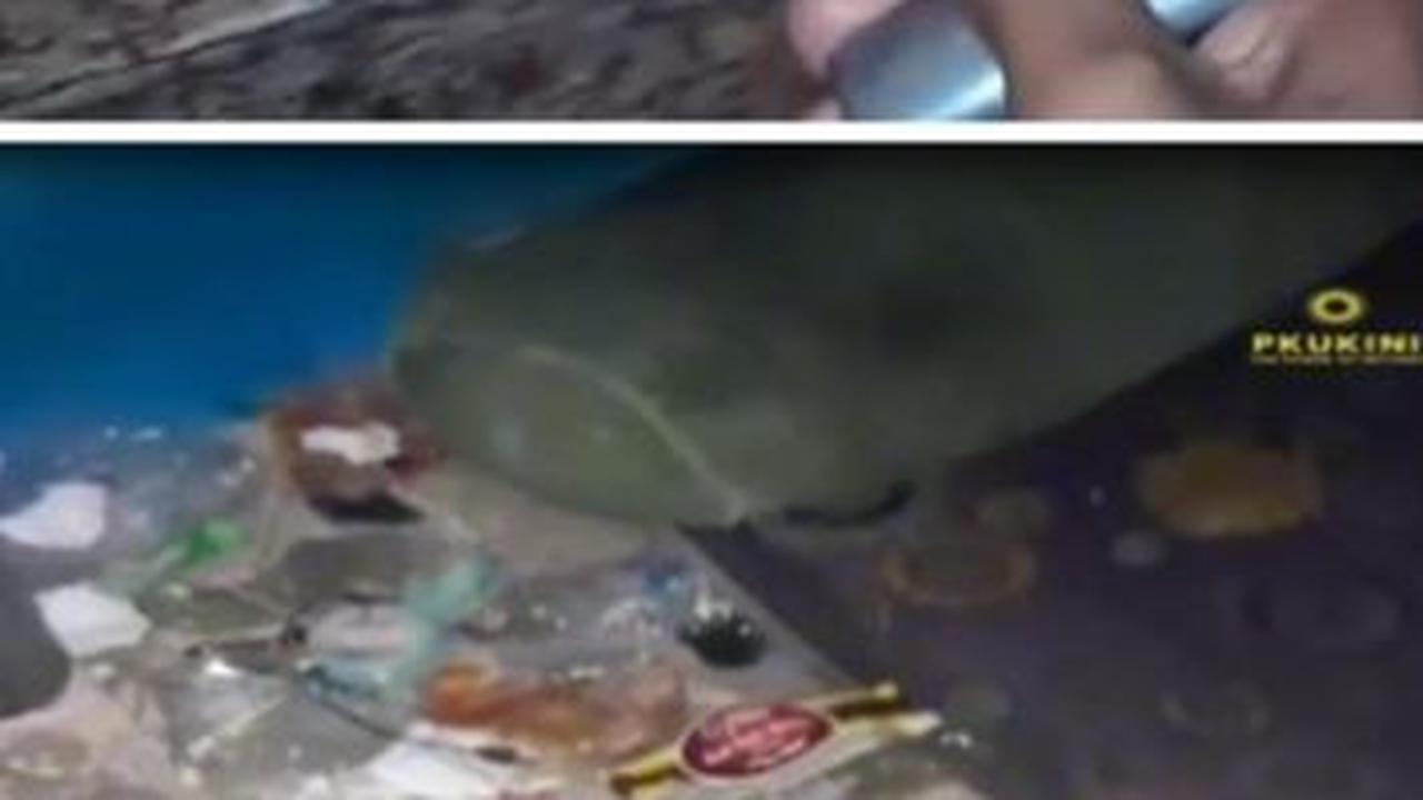 Viral Wanita di Pekanbaru Timbun Sampah di Kamar Kosnya, Diduga Idap Hoarding Disorder