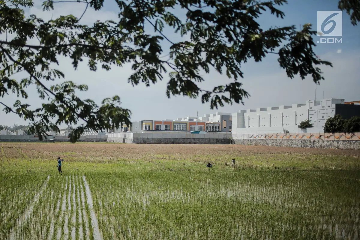 Lahan Baku Sawah