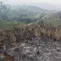 Foto udara ini memperlihatkan lahan yang terdampak kebakaran hutan di Kapuas Hulu, Kalimantan Barat, Jumat, 4 September 2026. (AFP/ Bay Ismoyo)