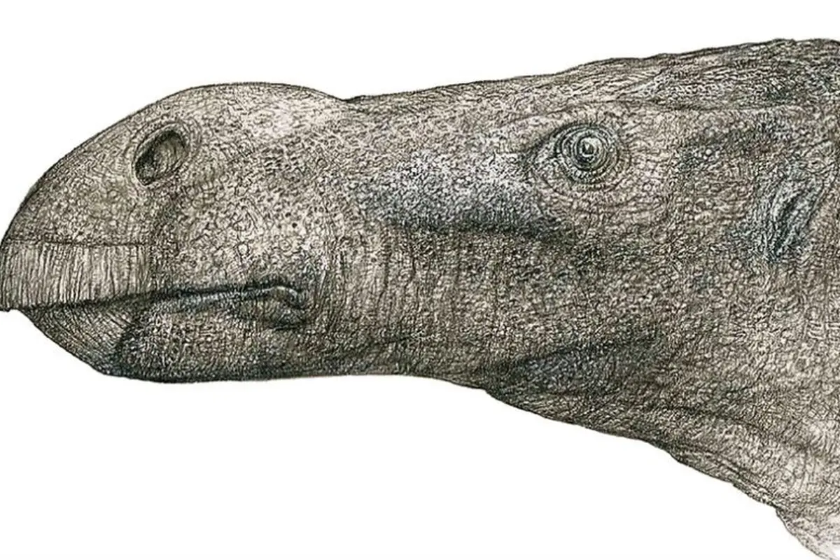 Dinosaurus baru