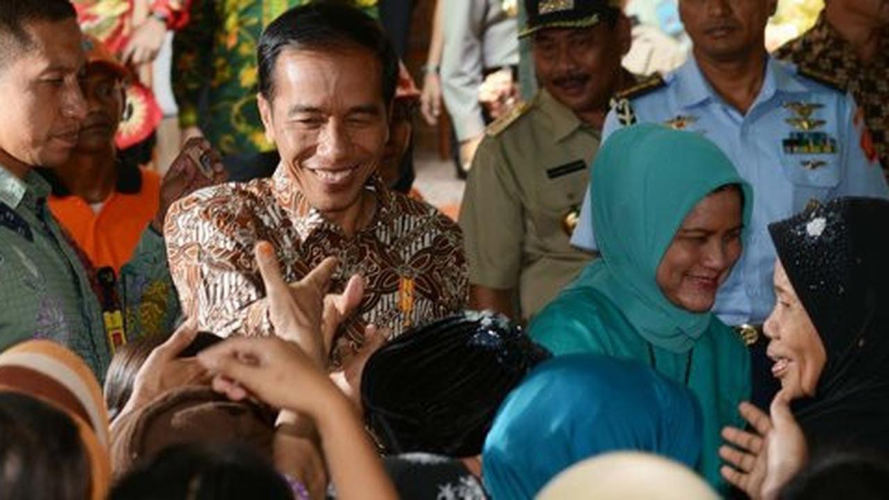 Walhi sebut blusukan Jokowi ke lokasi kebakaran hutan cuma seremoni