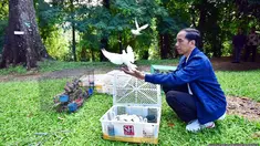 Presiden Jokowi melepas sejumlah ekor burung di lingkungan Istana Kepresidenan, Bogor, Minggu, (2/1). Presiden mengadakan acara pribadi berupa pelepasan satwa yaitu kodok,burung dan biawak di halaman depan Kompleks Istana. (Setpres-Agus Suparto)