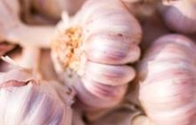 Bumbu Dapur untuk Cegah Stroke, Obat Alami yang Minim Efek Samping