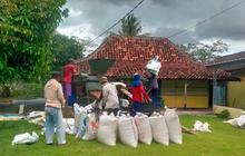 Peningkatan Produksi Jagung Lampung Capai 2,25 Juta Ton di 2025, Didorong Kebijakan Pemerintah