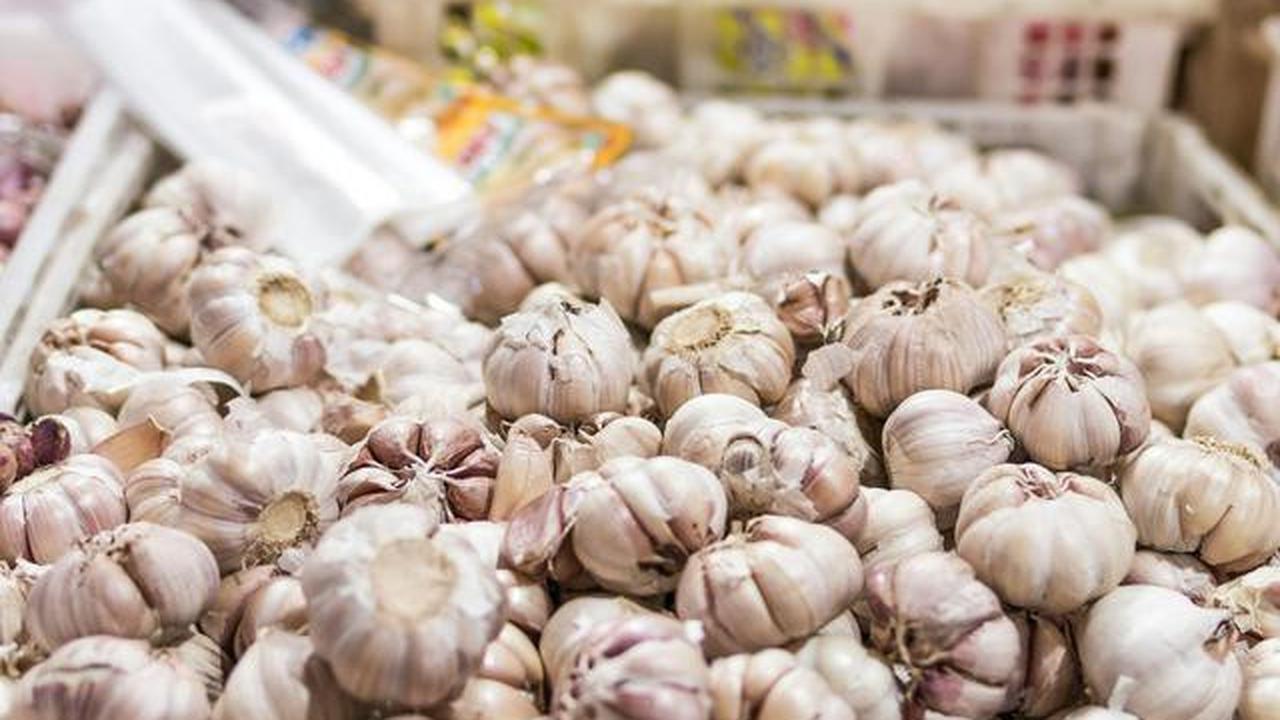 Ini 7 Bahan Dapur yang Ampuh Menghalau Rayap dari Furnitur Rumah, Lindungi Perkakas Kayumu