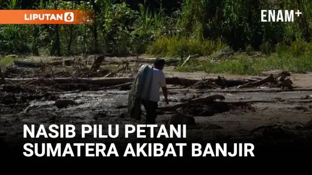 Petani Sumatera Terpuruk Akibat Banjir dan Longsor