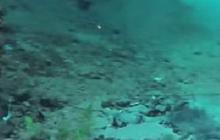 Desa di Magelang Ini Punya Mata Air Abadi, Sumber Air Jernih Melimpah Muncul dari Dasar Kolam