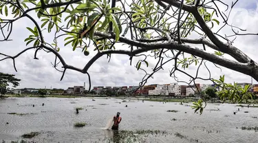 Amir (38) saat menjala ikan di genangan air yang merendam kompleks pemakaman TPU Semper, Jakarta, Selasa (2/2/2021). Banjir yang semakin tinggi merendam TPU Semper hingga mencapai sepinggang orang dewasa. (merdeka.com/Iqbal S. Nugroho)