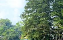 Mengunjungi Situ Wanayasa Purwakarta yang Asri, di Tengahnya Ternyata Ada Makam Kiai Terkemuka