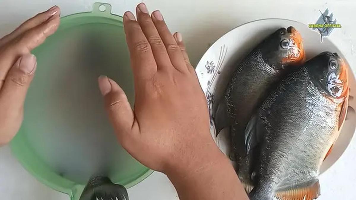 Rahasia Hilangkan Bau Tanah pada Ikan Bawal dengan Air Cucian Beras