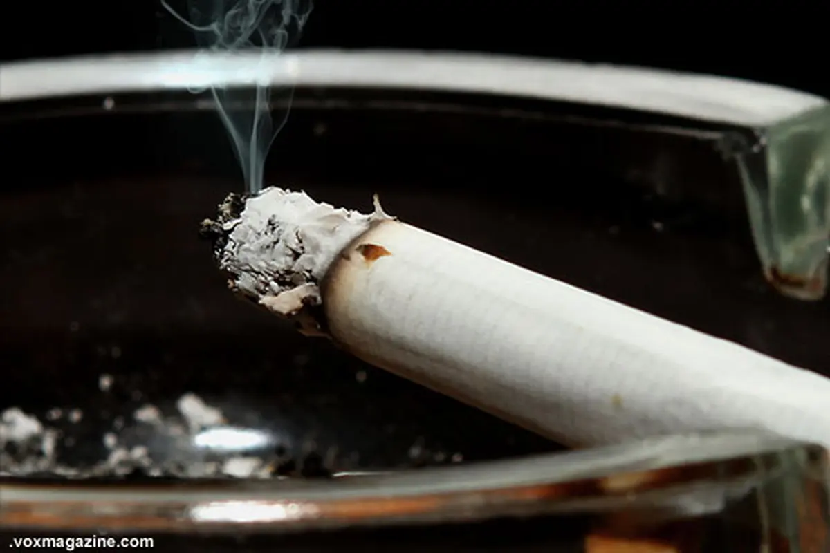 fakta-rokok-130531b.jpg