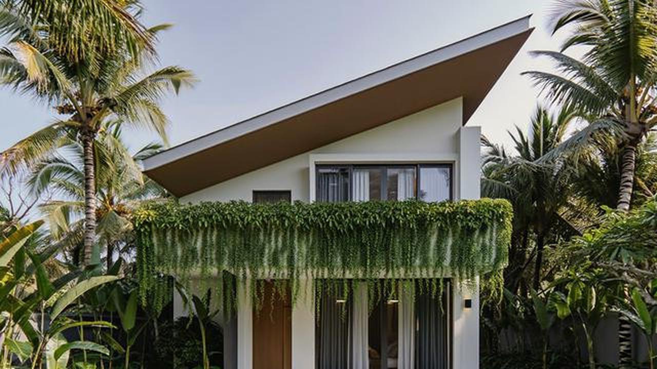 10 Model Tampak Depan Rumah Minimalis Asri dengan Tanaman Rambat, Bikin Hunian Teduh