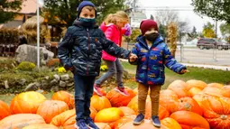 Anak-anak berdiri di atas labu-labu raksasa di sebuah festival labu, atau dikenal sebagai Pumpkinfest, di Lincolnshire, Illinois, Amerika Serikat (AS), pada 17 Oktober 2020. Belakangan ini, banyak kota di Illinois menggelar festival labu menjelang perayaan Halloween. (Xinhua/Joel Lerner)