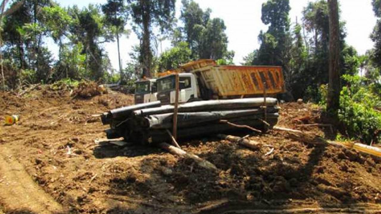 Parahnya kerusakan hutan lindung di Sulut akibat tambang ilegal