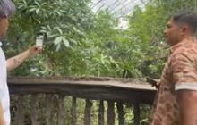 7 Foto Rumah Irfan Hakim yang Dikelilingi Taman Indah, Dipenuhi Koleksi Hewan Peliharaannya