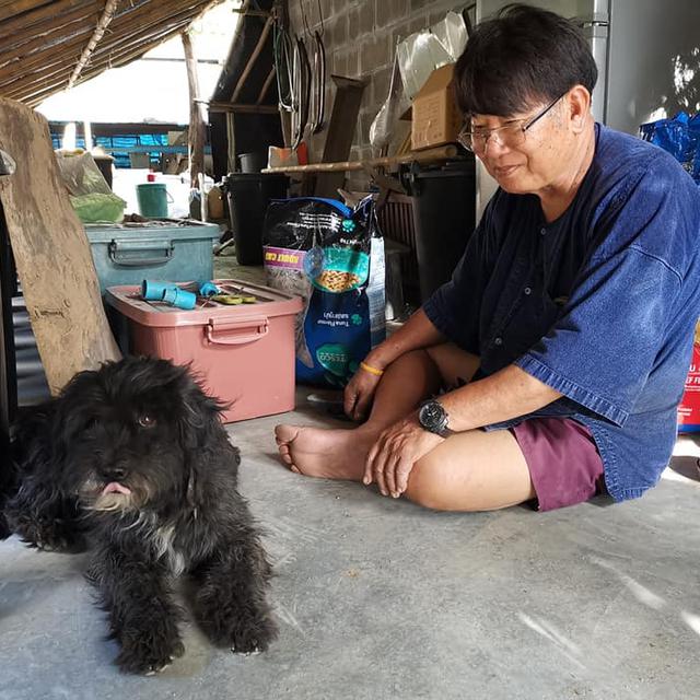 Bikin Haru, Anjing Ini Setia Tunggu Majikan di Tempat Ia Ditinggal