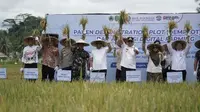 Teknologi Drone Hadirkan Efisiensi dan Produktivitas di Persawahan Bukit Biru