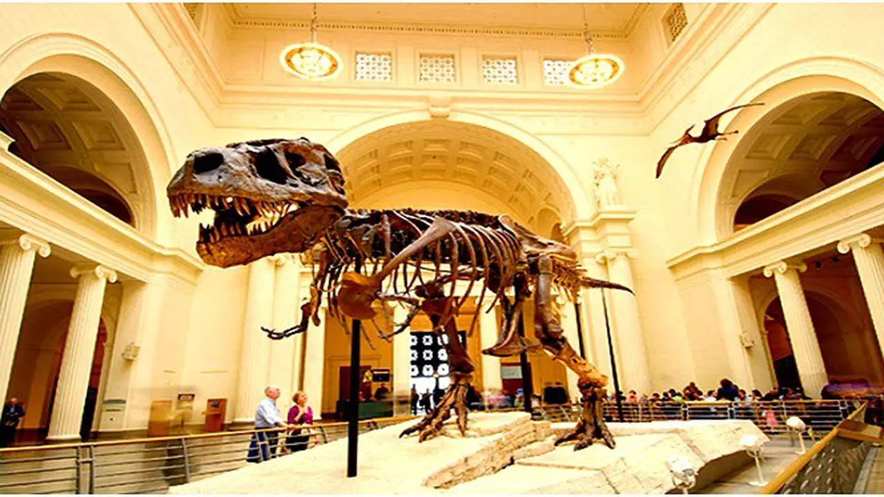 Mencengangkan, Jauh-jauh Datang ke Museum Hanya untuk Foto Selfie